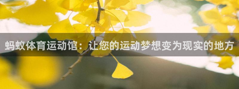 zyty中欧体育平台：蚂蚁体育运动馆：让您的运动梦想变为现实的地方