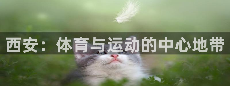 中欧体育全站app：西安：体育与运动的中心地带