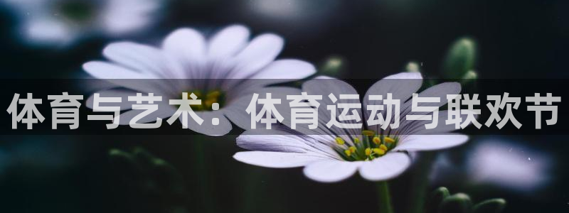 kok中欧体育：体育与艺术：体育运动与联欢节