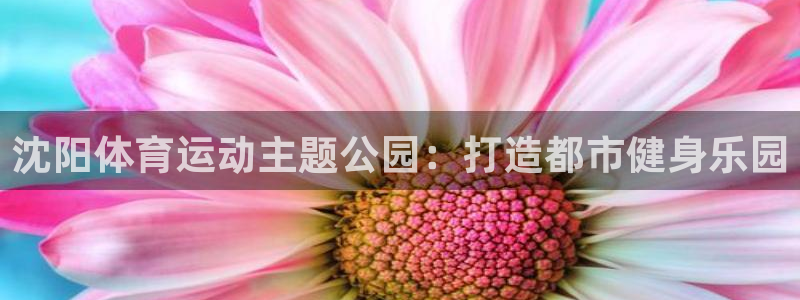 中欧体育登录：沈阳体育运动主题公园：打造都市健身乐园