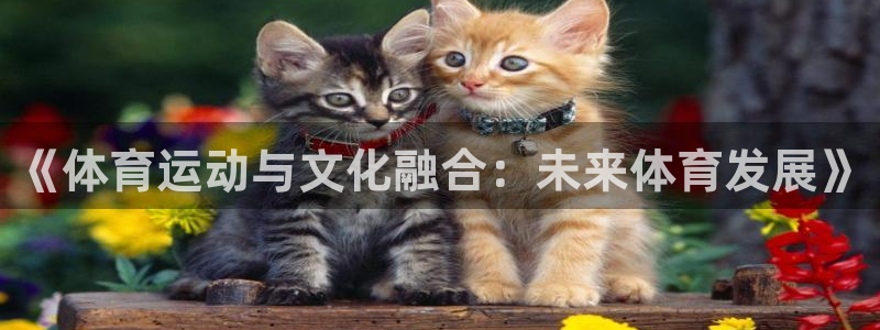 中欧体育官网：《体育运动与文化融合：未来体育发展》