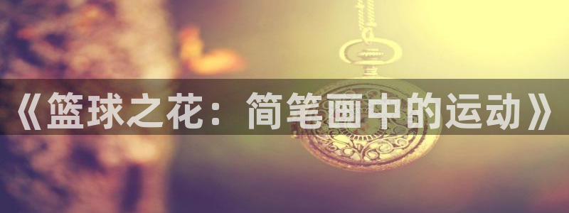 中欧体育：《篮球之花：简笔画中的运动》