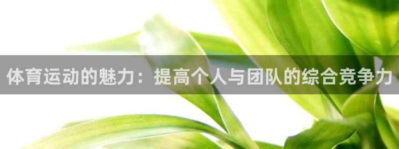 中欧体育网站：体育运动的魅力：提高个人与团队的综合竞争力