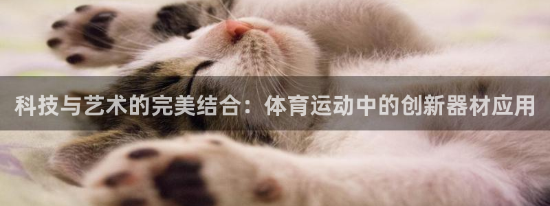 zoty中欧体育网址多少：科技与艺术的完美结合：体育运动中的创新器材应用