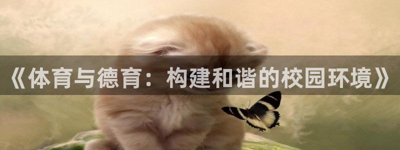 中欧体育官网入口：《体育与德育：构建和谐的校园环境》