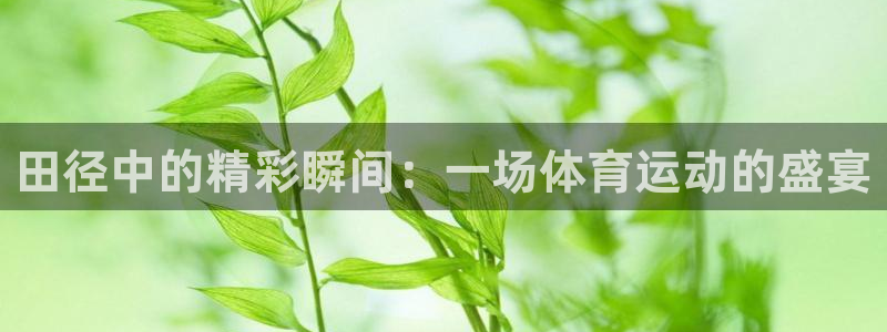 中欧体育官网入口：田径中的精彩瞬间：一场体育运动的盛宴